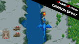 Arcade Archives: Dragon Spirit para Nintendo Switch