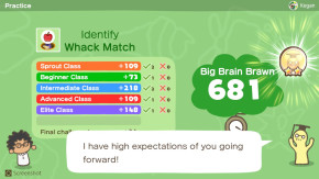Screenshot de Big Brain Academy: Brain vs. Brain