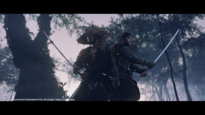 Screenshot de Ghost of Tsushima: Director's Cut