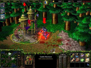 Screenshot de Warcraft III: Reign of Chaos