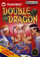 Double Dragon para NES