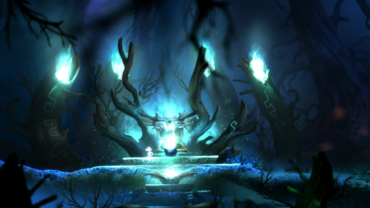 Imagens de Ori and the Blind Forest: Definitive Edition