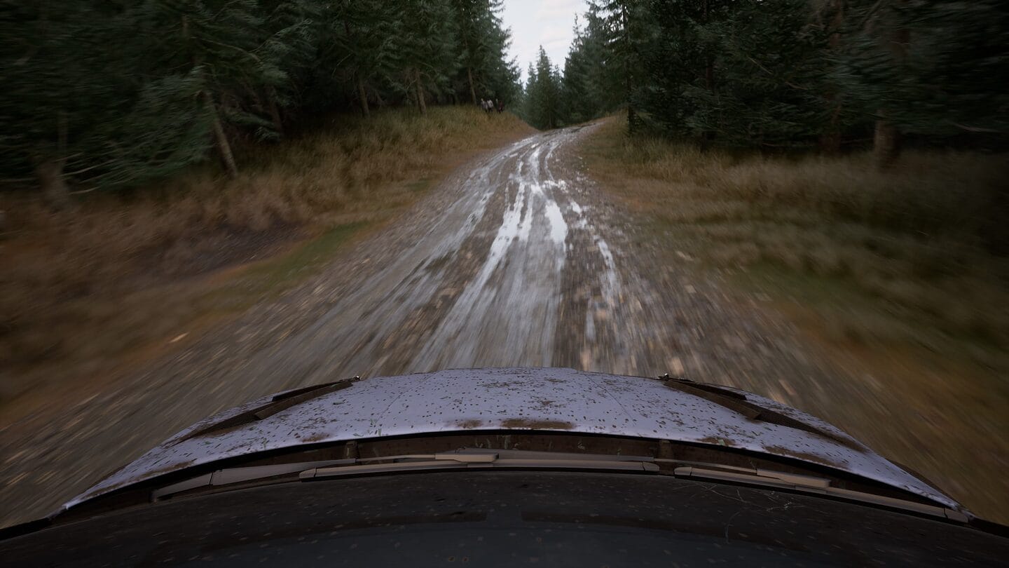 Assetto Corsa Rally
