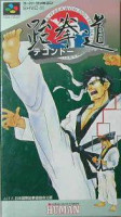 Tae Kwon Do para Super Nintendo