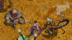 Screenshot de Untold Legends: Brotherhood of the Blade