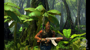 Screenshot de Mercenaries 2: World in Flames