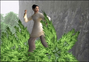 Screenshot de Crouching Tiger, Hidden Dragon