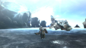 Screenshot de Monster Hunter Tri