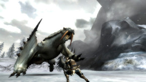 Screenshot de Monster Hunter Tri