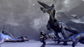 Screenshot de Monster Hunter Tri