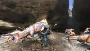 Screenshot de Monster Hunter Tri