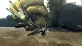 Screenshot de Monster Hunter Tri