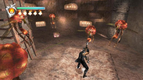 Screenshot de Ninja Gaiden (2004)