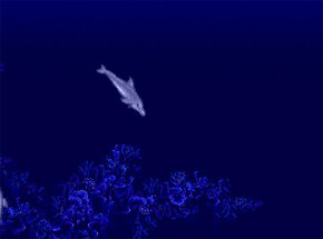 Screenshot de Ecco the Dolphin