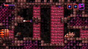 Screenshot de Axiom Verge