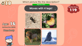 Screenshot de Big Brain Academy: Brain vs. Brain
