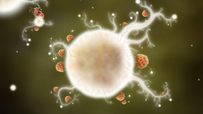 Screenshot de Botanicula