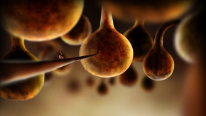 Screenshot de Botanicula