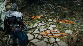 Screenshot de Dark Souls II
