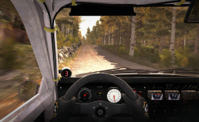Screenshot de DiRT Rally