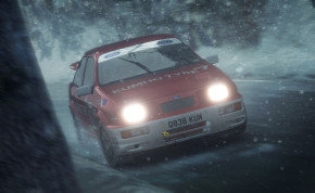 Screenshot de DiRT Rally