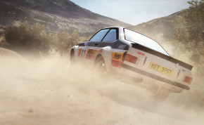 Screenshot de DiRT Rally