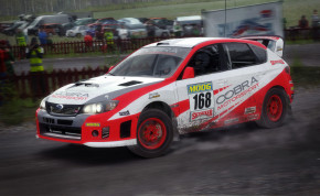 Screenshot de DiRT Rally