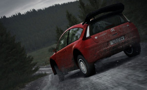 Screenshot de DiRT Rally