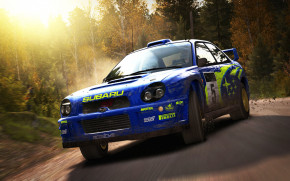 Screenshot de DiRT Rally