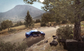 Screenshot de DiRT Rally