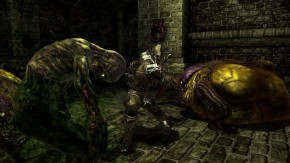 Screenshot de Divinity II: Ego Draconis