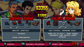 Screenshot de Double Dragon Gaiden: Rise Of The Dragons