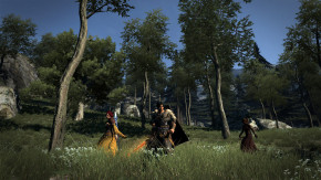 Screenshot de Dragon's Dogma: Dark Arisen