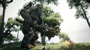 Screenshot de Dragon's Dogma: Dark Arisen