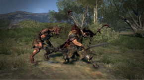 Screenshot de Dragon's Dogma: Dark Arisen