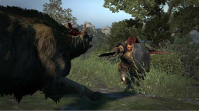 Screenshot de Dragon's Dogma: Dark Arisen