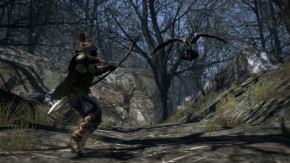 Screenshot de Dragon's Dogma: Dark Arisen