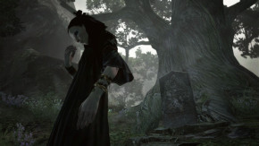 Screenshot de Dragon's Dogma: Dark Arisen