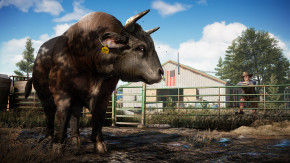 Screenshot de Far Cry 5