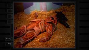 Screenshot de Ground Zero Texas - Nuclear Edition