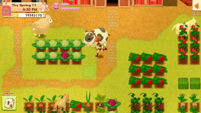 Screenshot de Harvest Moon: Light of Hope