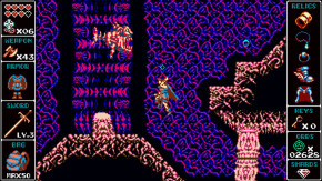 Screenshot de Odallus: The Dark Call
