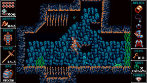 Screenshot de Odallus: The Dark Call