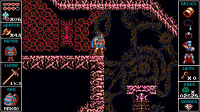 Screenshot de Odallus: The Dark Call