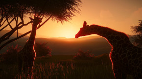 Screenshot de Planet Zoo