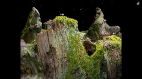 Screenshot de Samorost 1