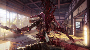 Screenshot de Shadow Warrior 2