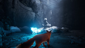 Screenshot de Spirit of the North