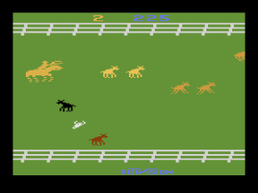 Screenshot de Stampede