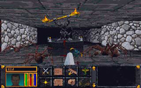 Screenshot de The Elder Scrolls: Arena